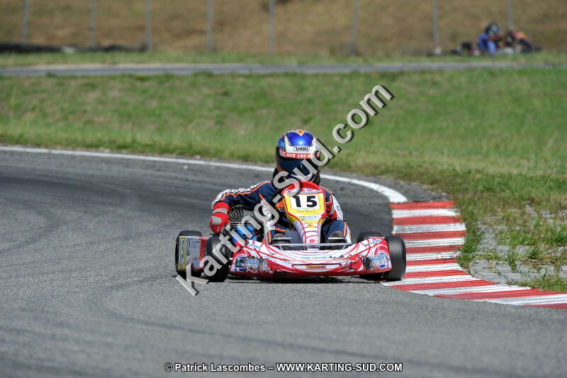 DSC_ (431).jpg